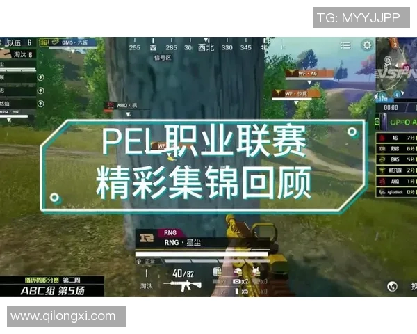 S15LOL赛事中RNG战队表现出色和平精英耐力排名创新高引发热议